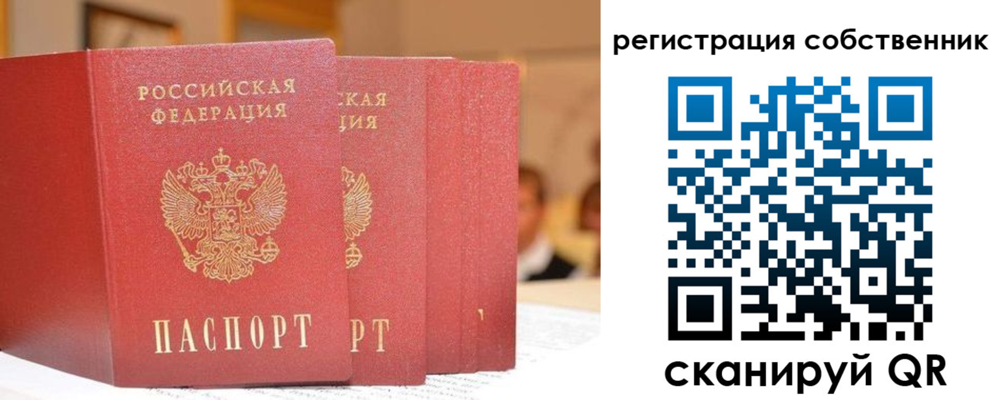 пропишу в квартире в Борзе